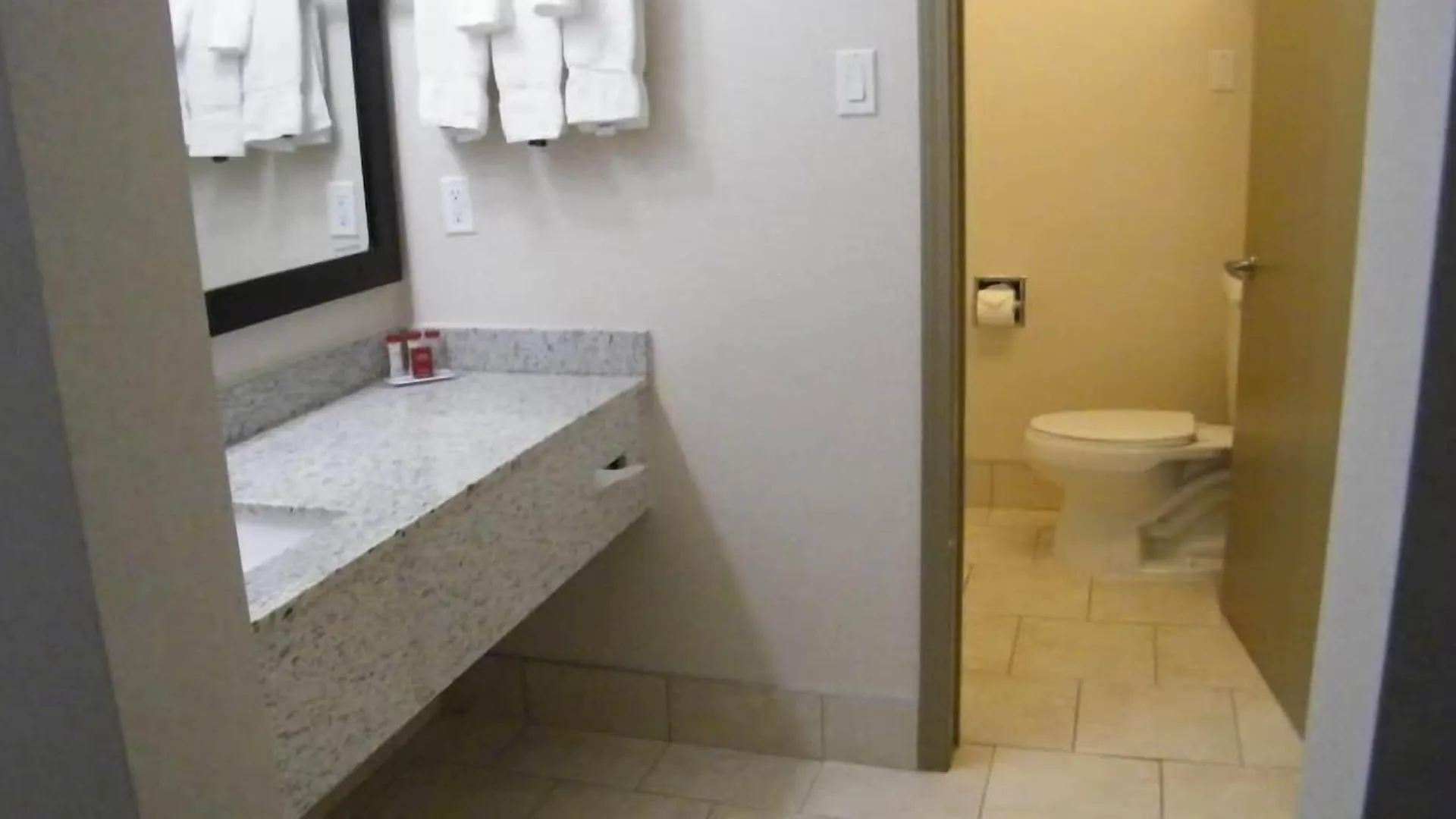 Hotel Ramada By Wyndham Edmonton South